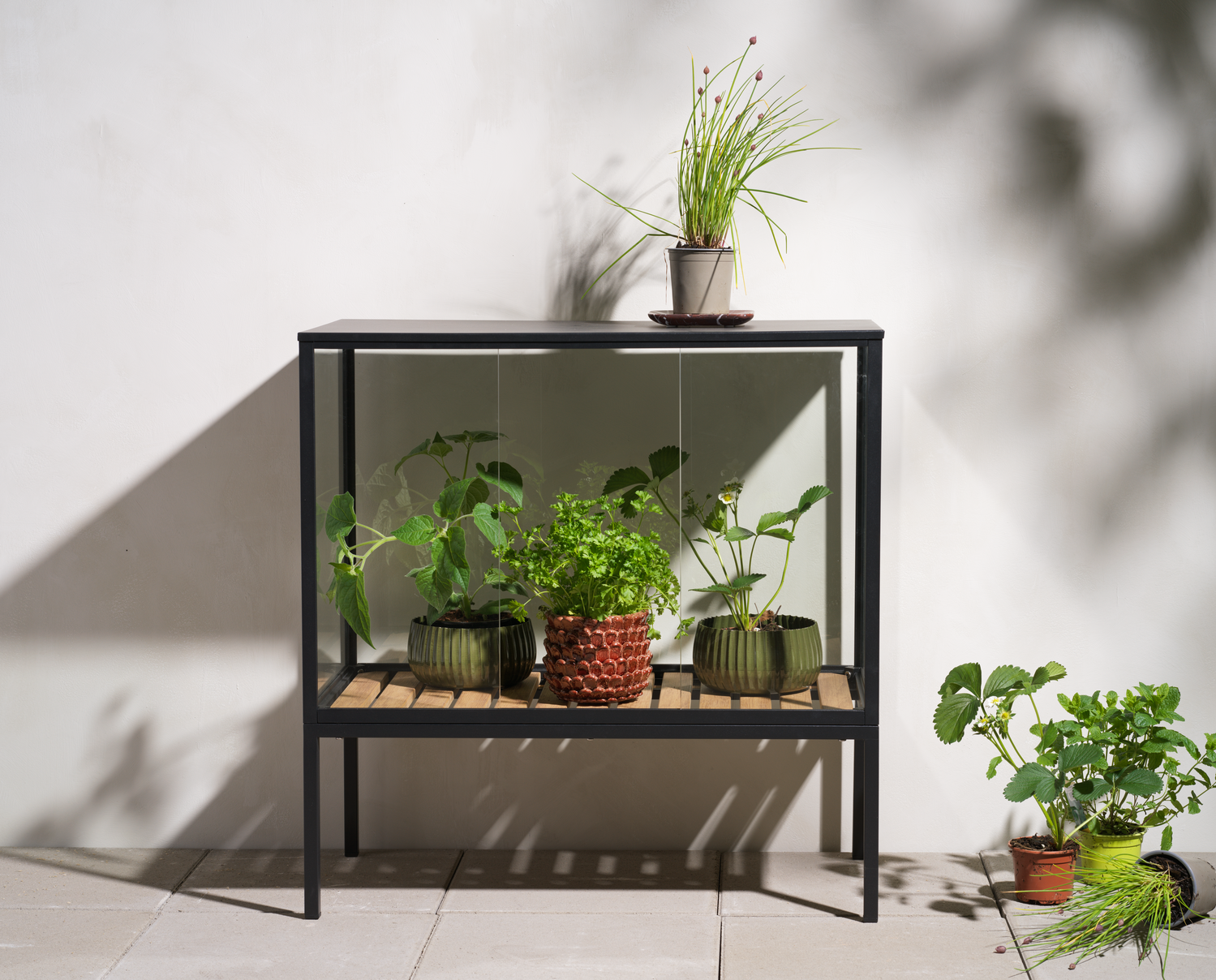 Brafab Grower Pflanzenschrank Niedrig Aluminium/Glas Schwarz